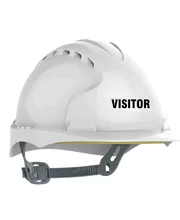Pre Printed Safety Helmets