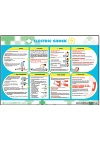 Electric shock poster 58979