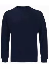 Premium Heavy weight Sweatshirt SWS340