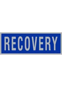 Recovery Reflective Badge - Blue/Silver