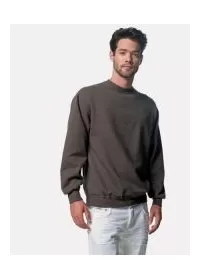 Russell Set-in Sleeve Sweatshirt  J262M