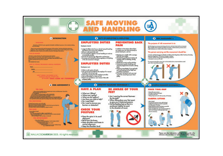 Safe moving & handling poster 58982