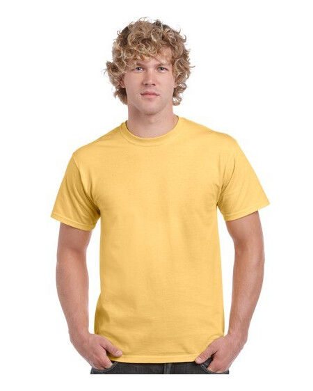 Gildan 5000,Heavy Cotton Coloured T Shirt