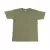 Classic Olive