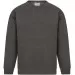 Classic Crew Neck Sweatshirt 300GSM AA24