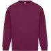 Classic Crew Neck Sweatshirt 300GSM AA24