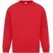 Classic Crew Neck Sweatshirt 300GSM AA24